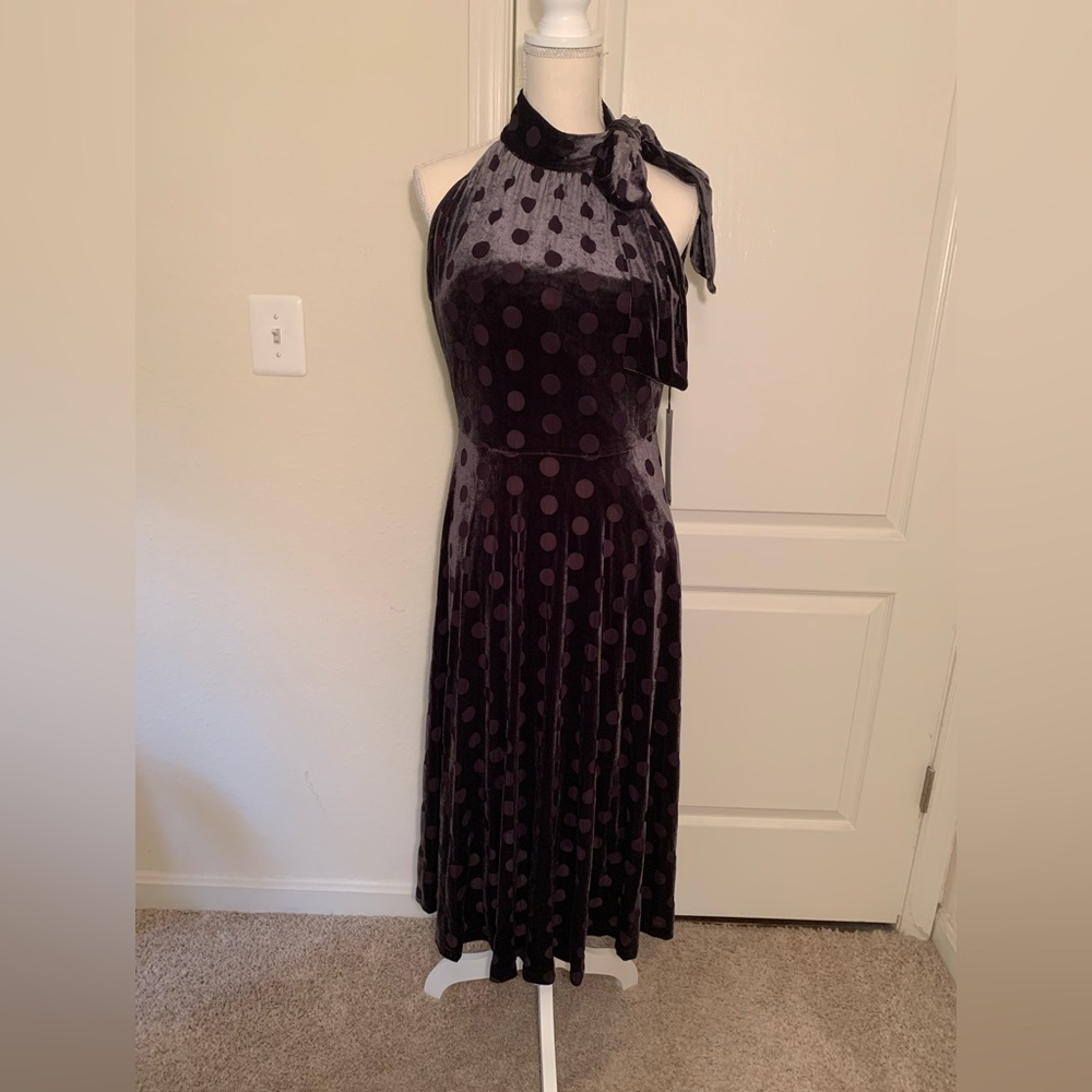 Calvin Kline Velvet Polka Dot Dress